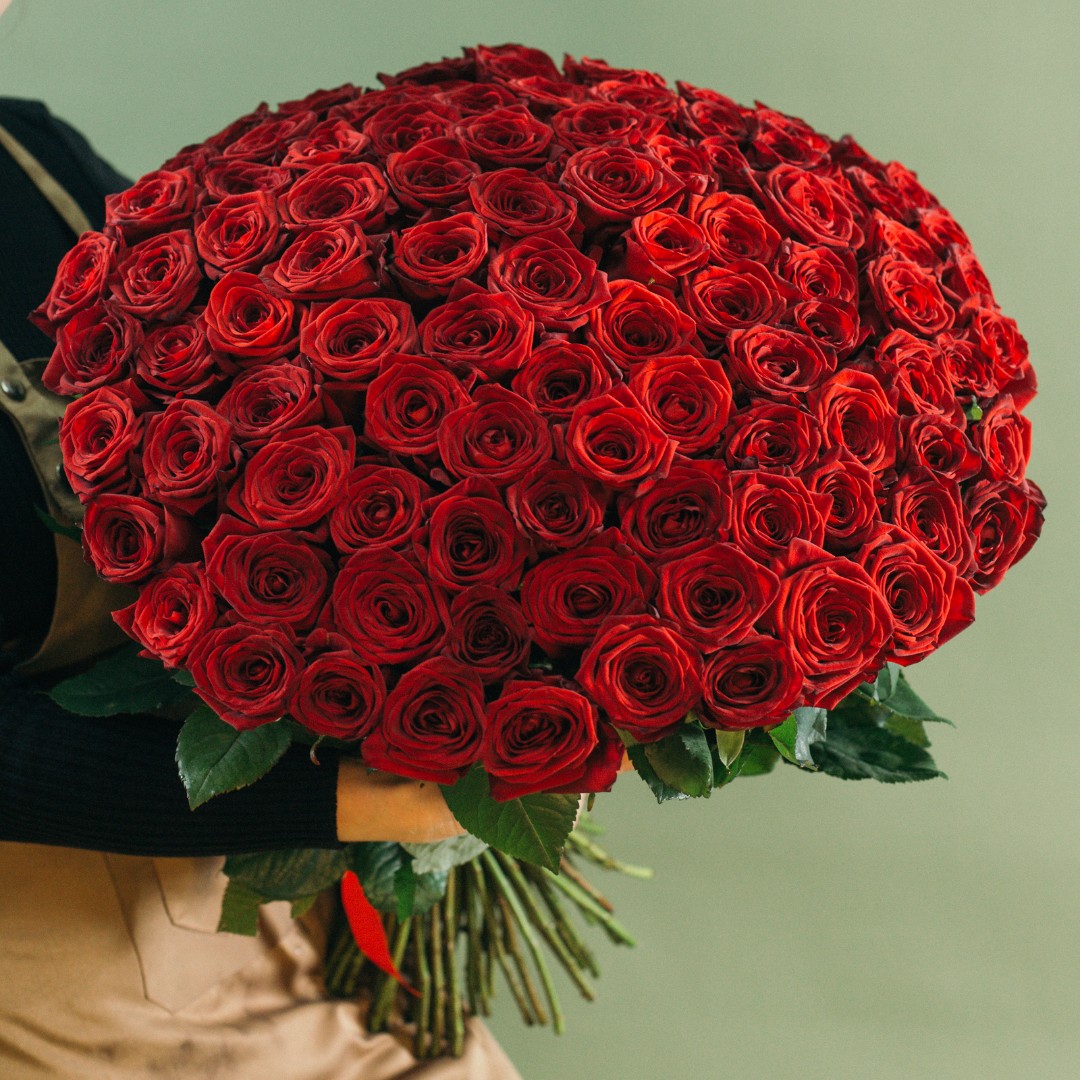 101 красная роза Эквадор 60 см.